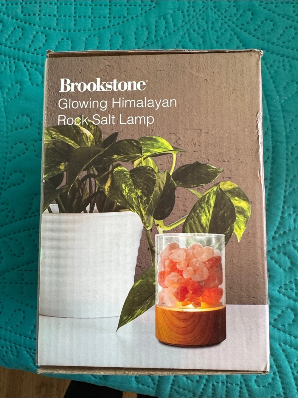 Brookstone Himalayan Salt LED Lamp in Pink and Orange